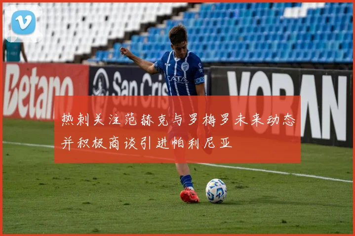热刺关注范赫克与罗梅罗未来动态并积极商谈引进帕利尼亚